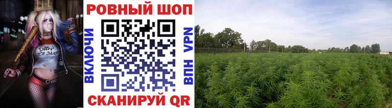 Купить наркотик Майкоп Конопля СК Гашиш