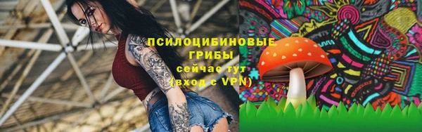 ГАЛЛЮЦИНОГЕННЫЕ ГРИБЫ Алексин