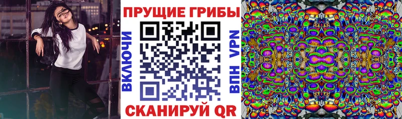 Псилоцибиновые грибы Magic Shrooms купить наркотики цена Майкоп