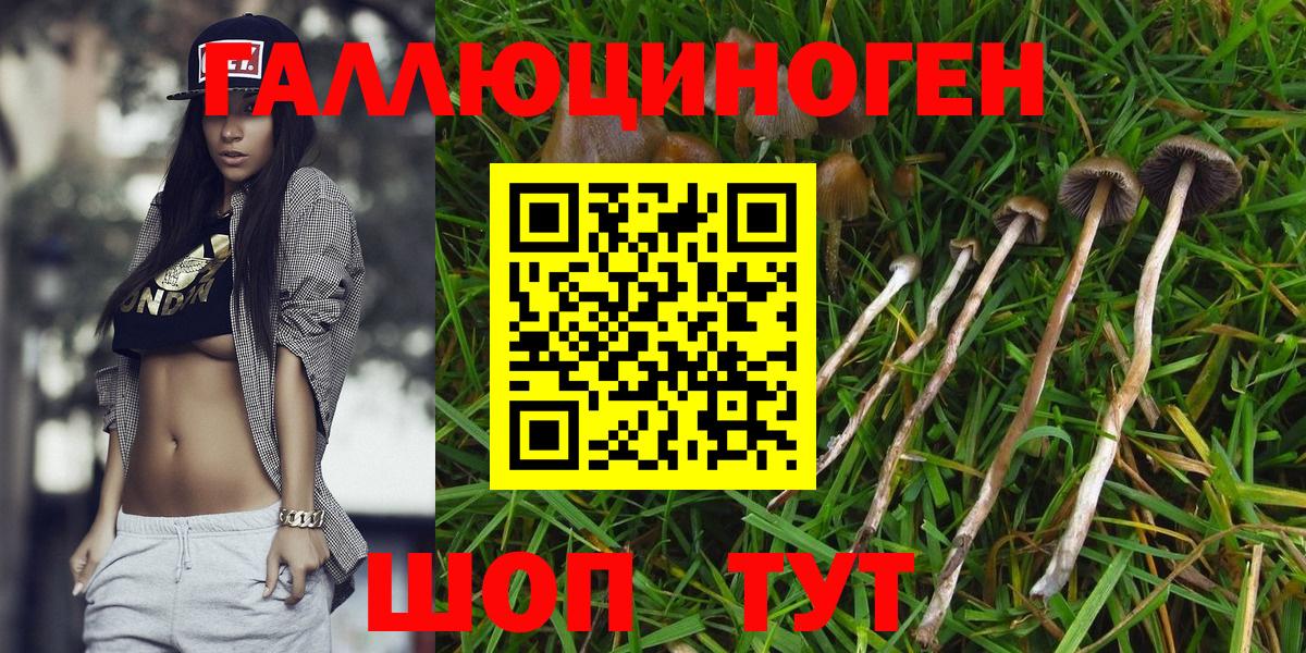 Майкоп  магазин  наркотиков  Галлюциногенные грибы GOLDEN TEACHER  Вход с VPN  Псилоцибиновые грибы мухоморы 