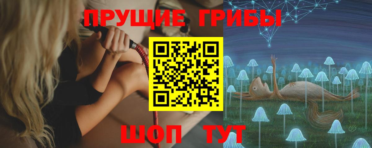 Псилоцибиновые грибы мухоморы Майкоп